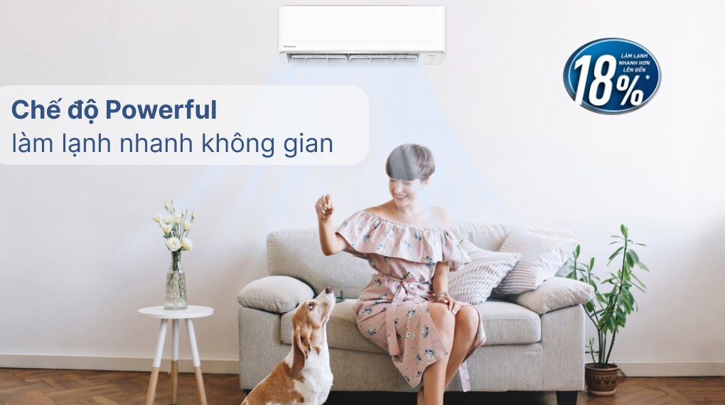 Điều hòa Panasonic RU9AKH