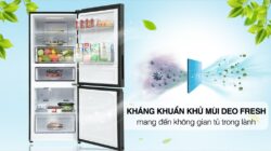 Tủ lạnh Aqua Inverter 260 Lít AQR-B306MA(HB)