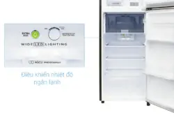 Tủ Lạnh Sharp Inverter 224 Lít SJ-X251E-DS