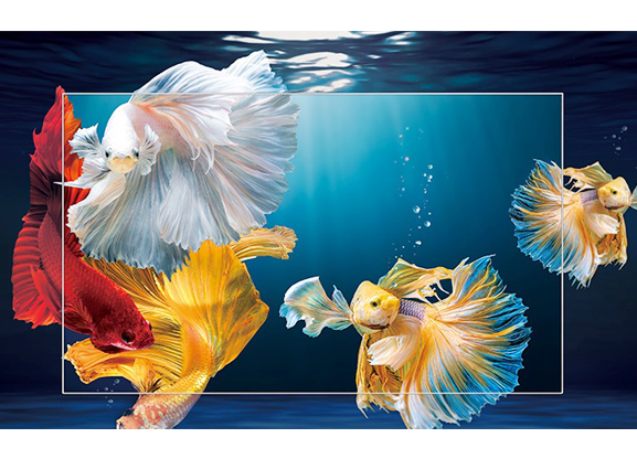 Android Tivi 4K TCL 55 Inch 55P618